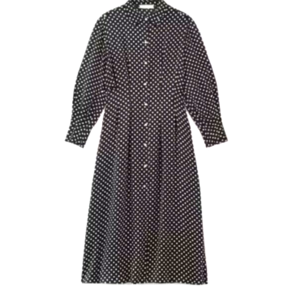 Everlane Hammered Satin Polka Dot Dress nwt